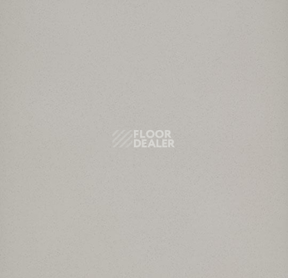 Линолеум Forbo Eternal Colour 40412 greige фото 1 | FLOORDEALER